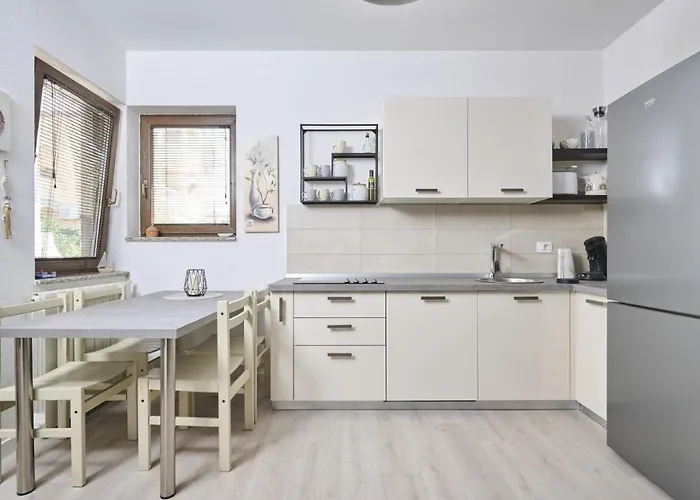 Igor * Novigrad Istria